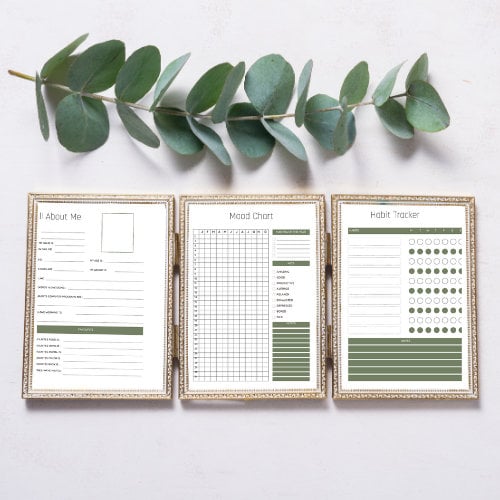 Self-Care Planner, Self-Care Tracker, Mental Health Mindfulness, Printable PDF Download, Healing Anxiety Self Love, Self Care Journal